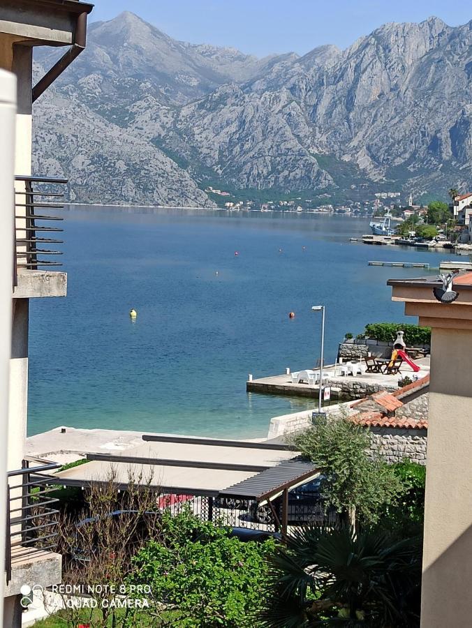 Apartment The Sea Coast Kotor Zewnętrze zdjęcie